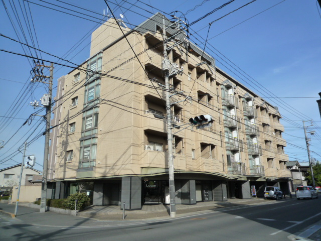 �݃}���V�����F�q���[�}���Y�����